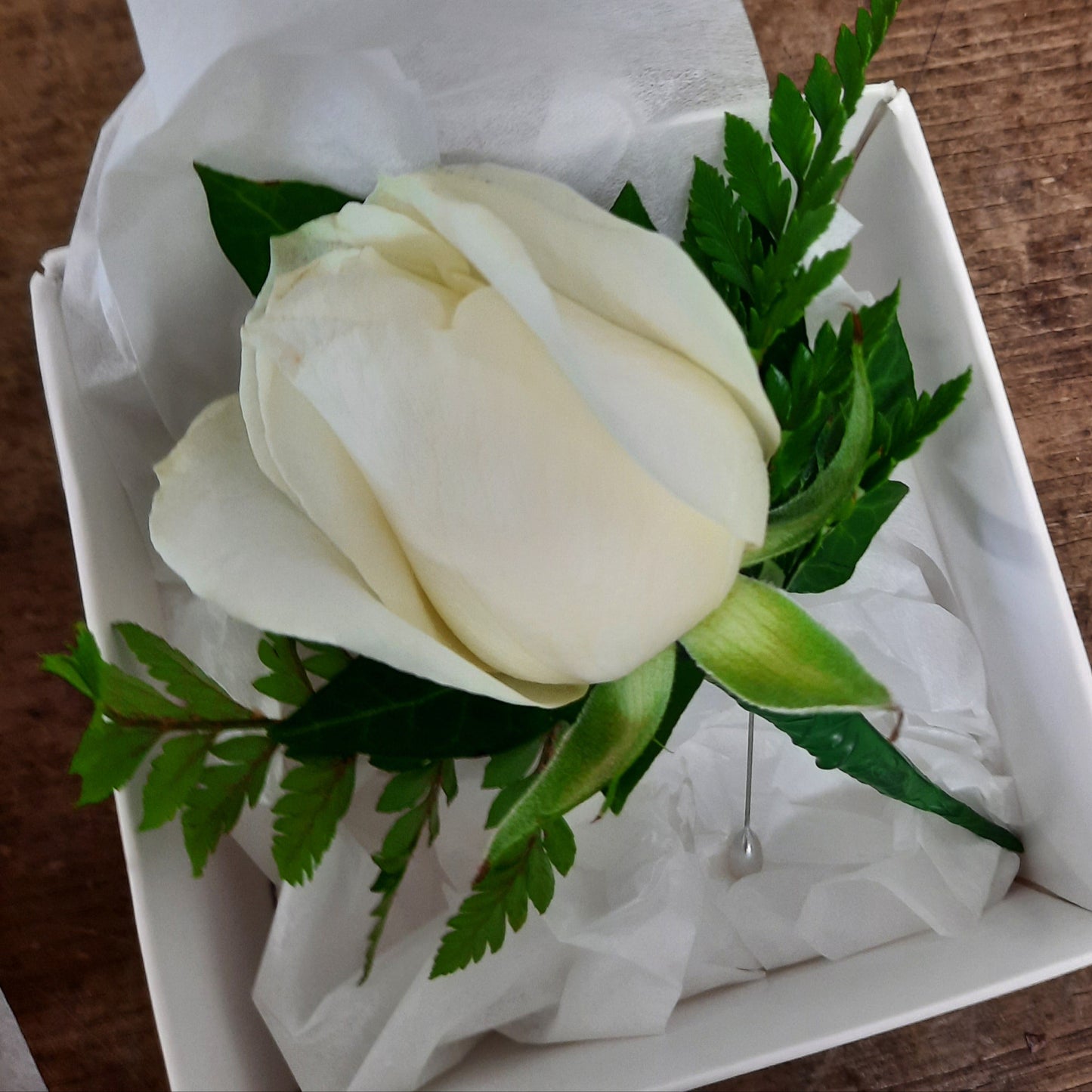 Boutonnière ~ Rose Buttonhole