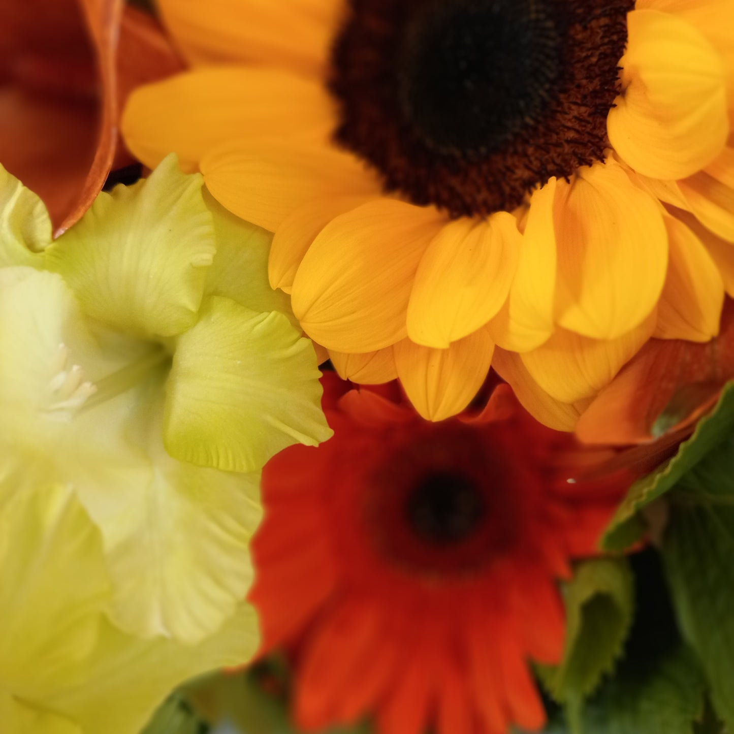 Something Bright & Cheerful bouquet